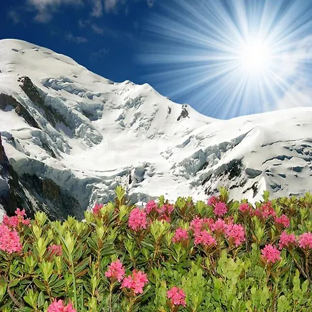 Résidence Le Cristal - Lognan 4 * Chamonix